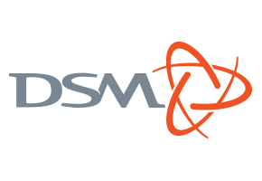 DSM